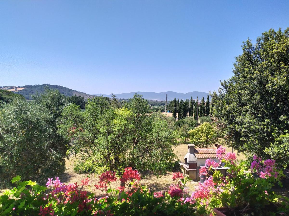 Agriturismo San Giorgino Grosseto Eksteriør bilde