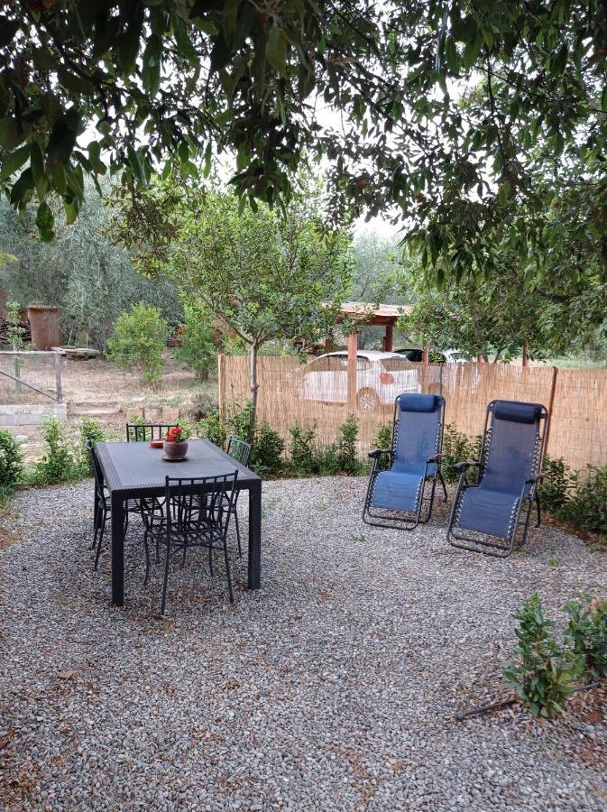 Agriturismo San Giorgino Grosseto Rom bilde