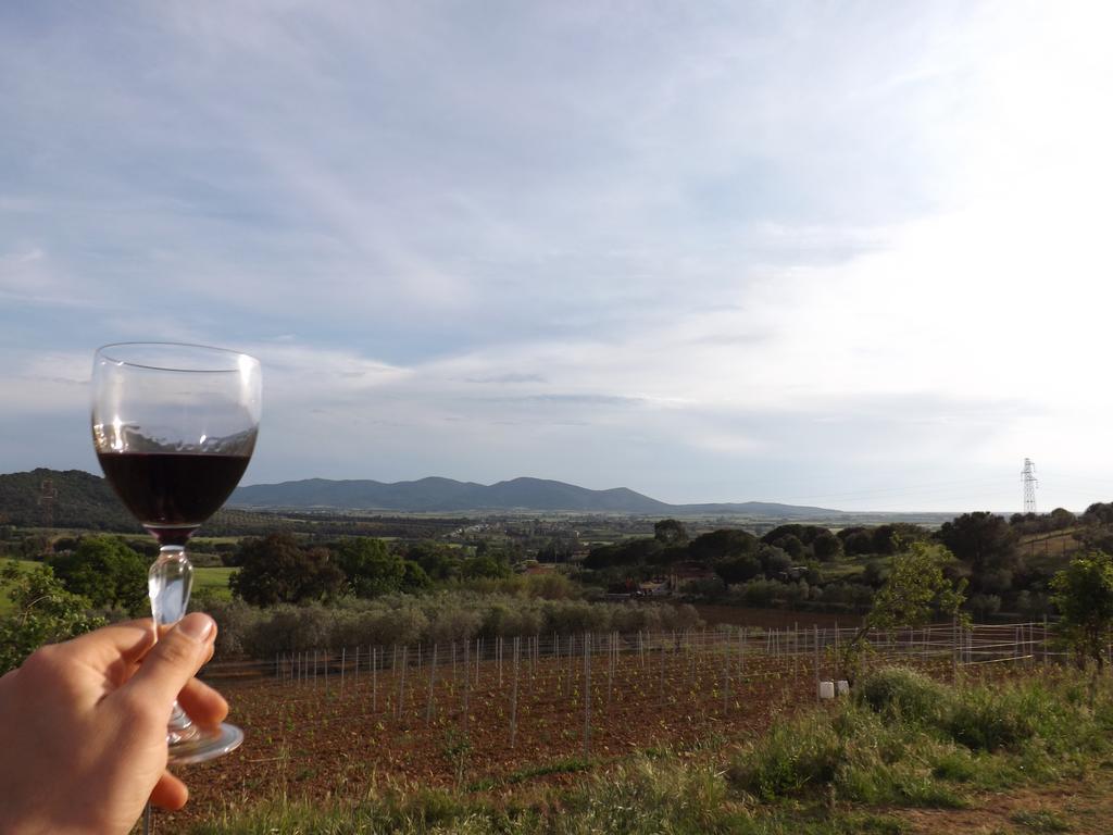 Agriturismo San Giorgino Grosseto Eksteriør bilde