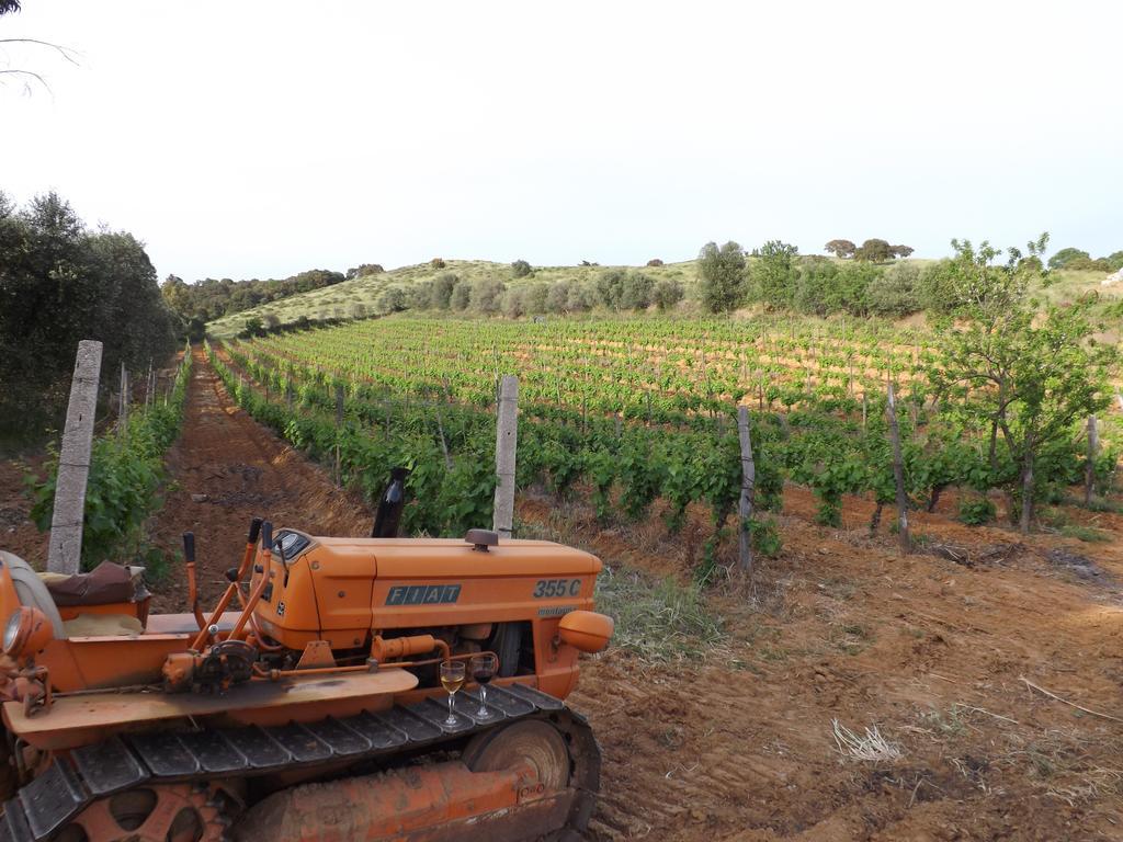 Agriturismo San Giorgino Grosseto Eksteriør bilde